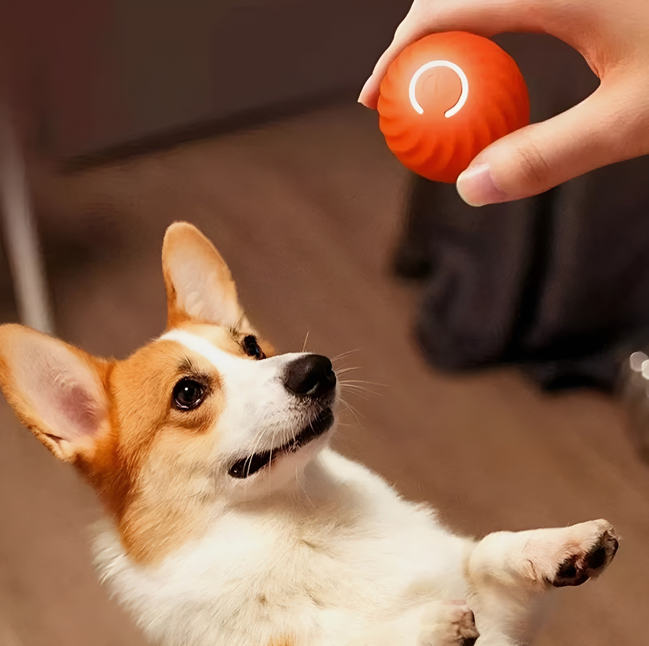 AI Chew Ball Toy