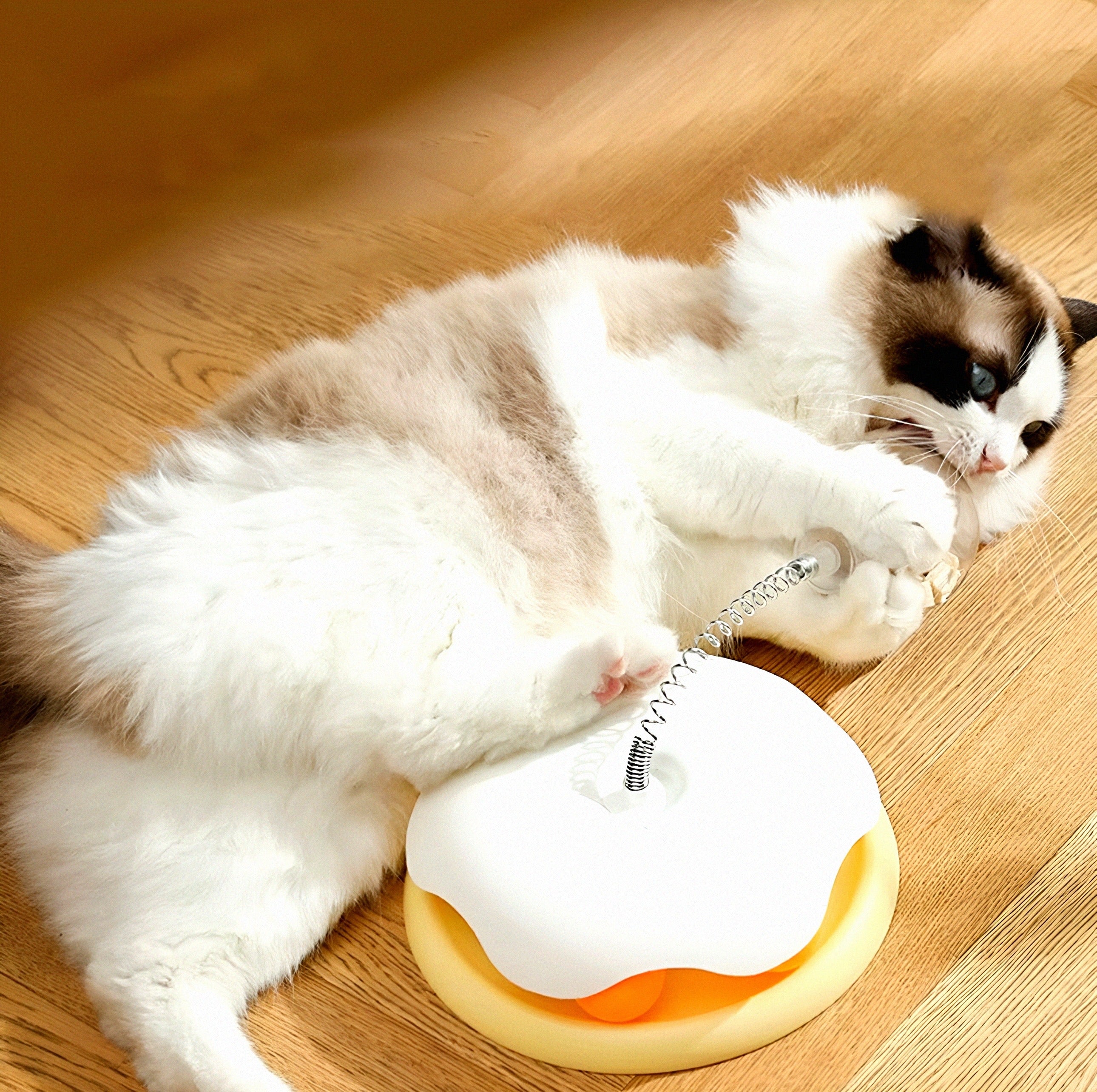 Food Dispenser Cat Toy